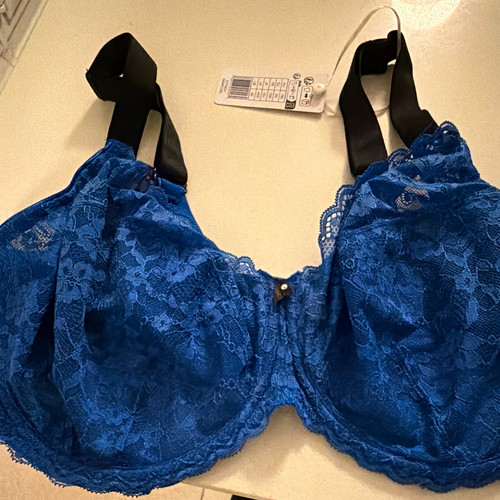 Freya offbeat cobalt lace - offbeat,