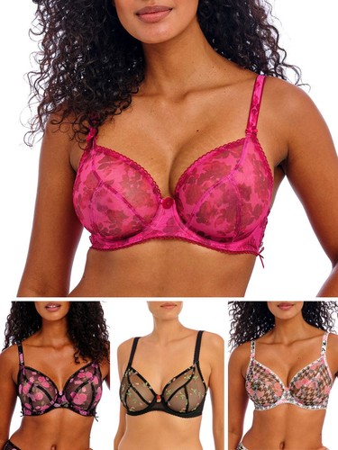 Freya rose blossom - freya,